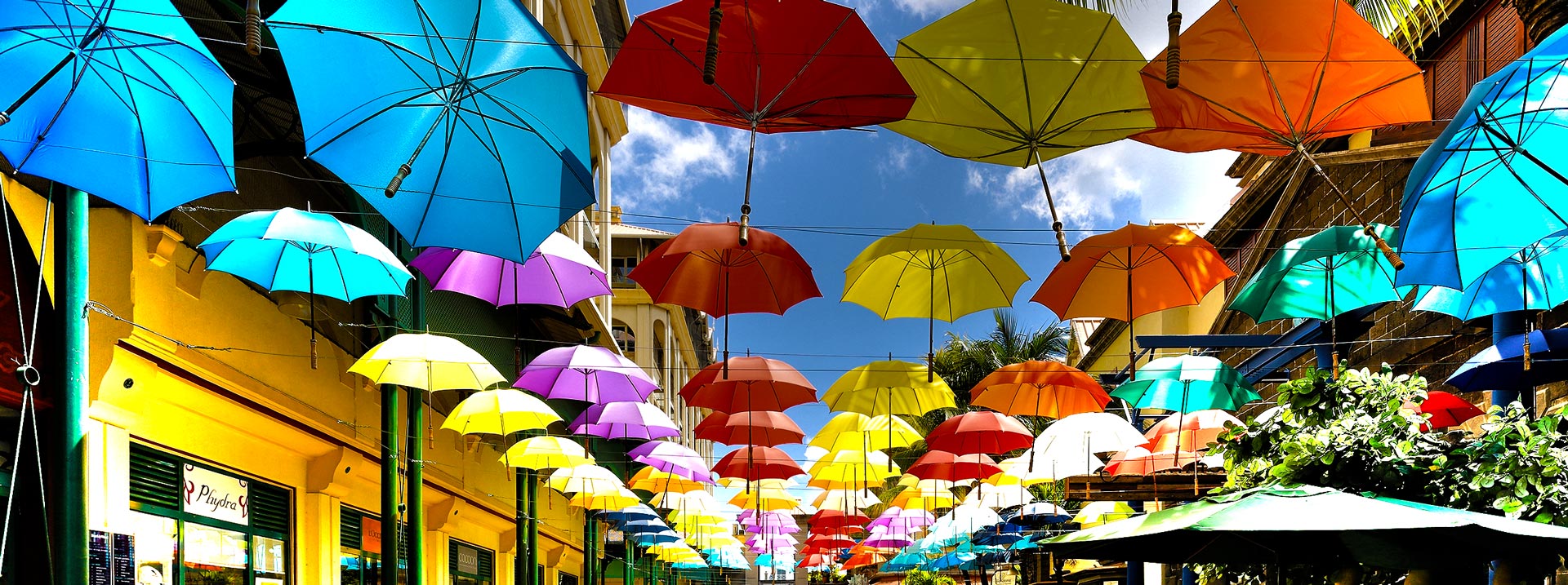 keeping-cool-in-the-shade-umbrellas