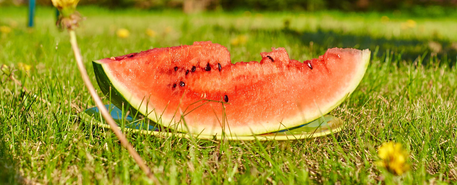 keeping-cool-in-the-shade-eating-cold-foods